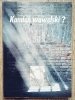 Wacław Wantuch Kamień wawelski?